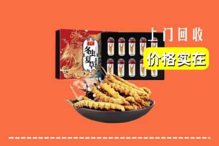 东莞市东坑镇回收冬虫夏草