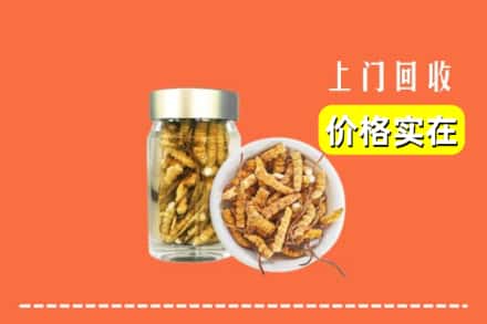 东莞市东坑镇回收散虫草