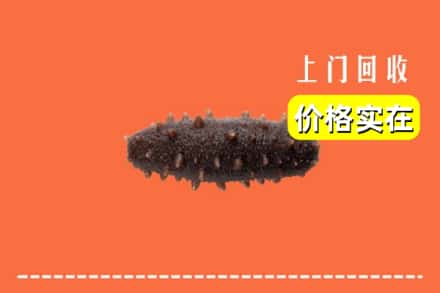 东莞市东坑镇回收海参